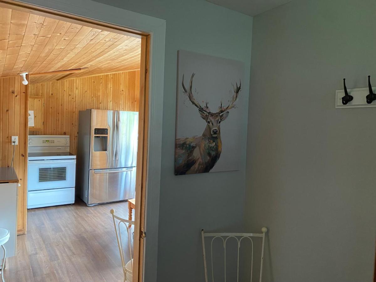Merland Park Cottages And Motel Picton Eksteriør billede