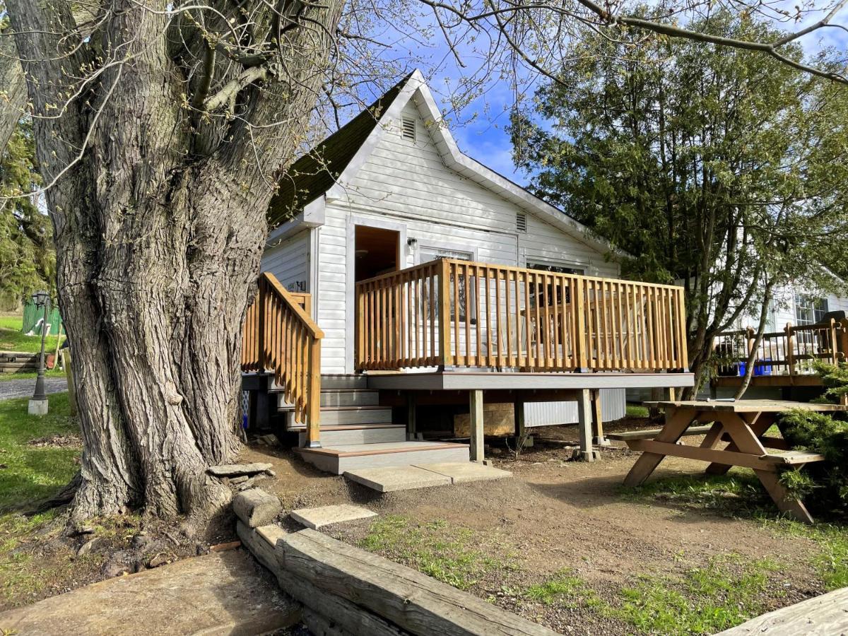 Merland Park Cottages And Motel Picton Eksteriør billede